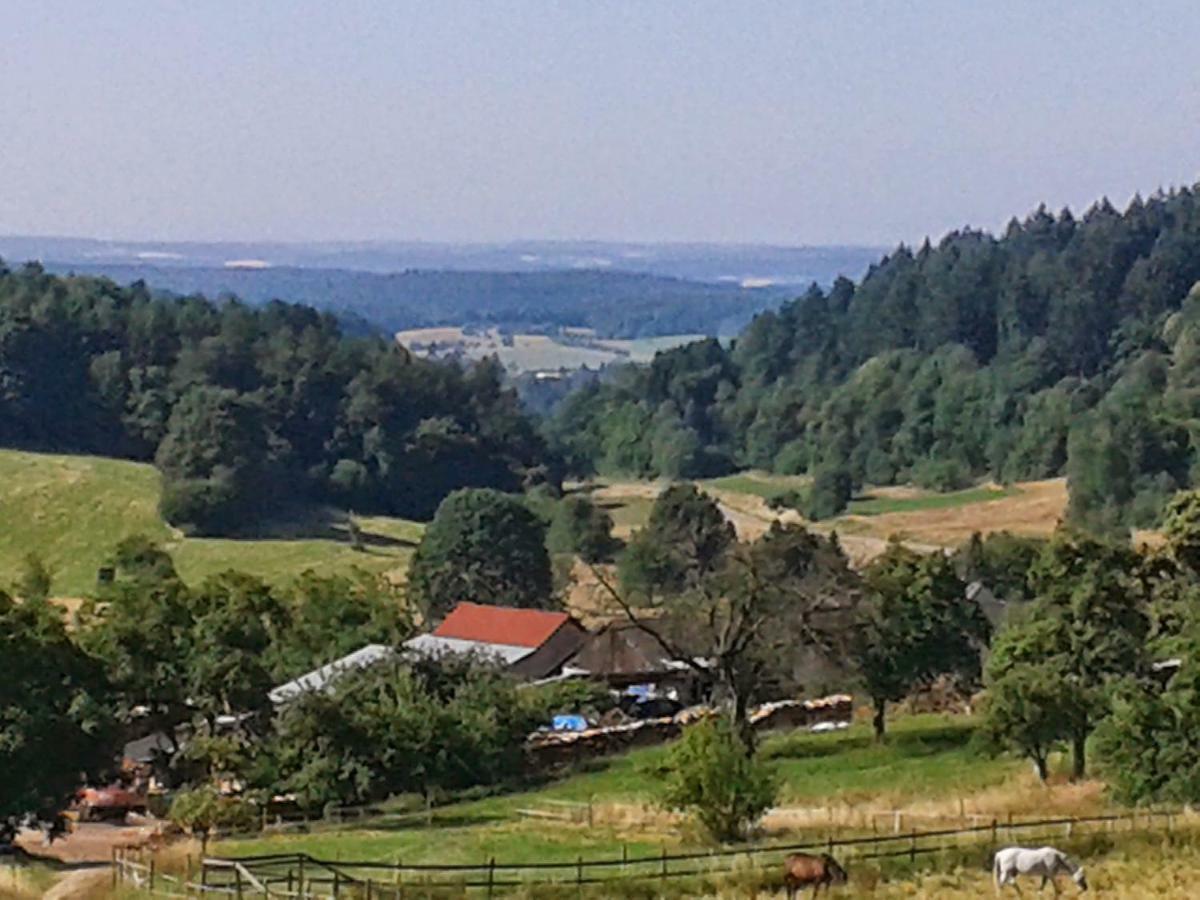 Fewo Darsberg Некарщайнах Екстериор снимка
